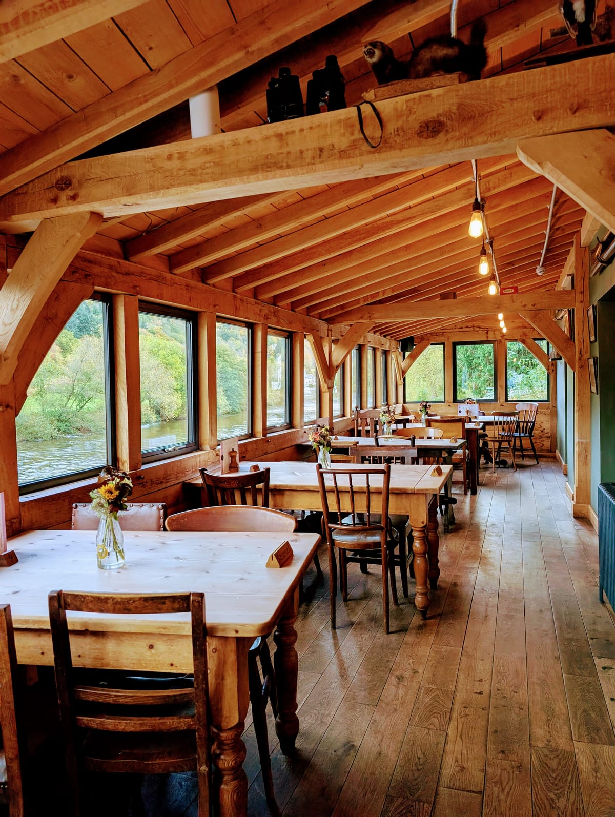 Review: Ye Old Ferrie Inn, Symonds Yat — A Riverside Gem on the River Wye